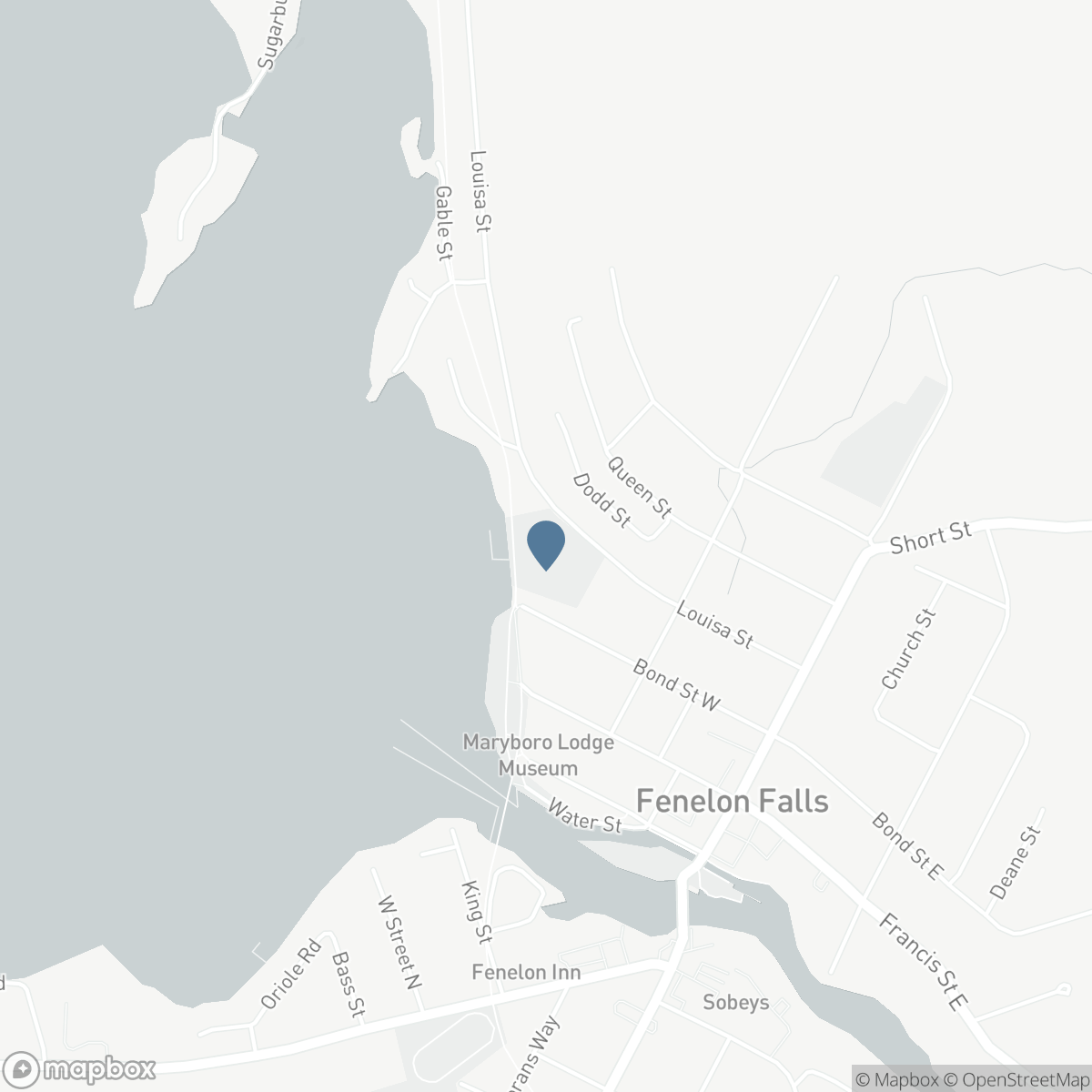 221 - 99 LOUISA STREET, Fenelon Falls, Ontario K0M 1N0